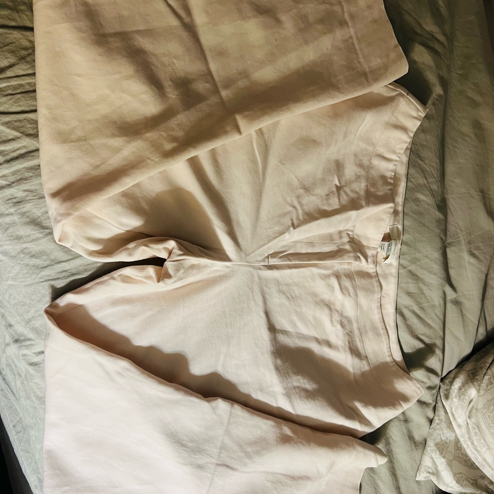 Good used conditions Chico’s ankle pants.